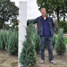 Chamaecyparis lawsoniana 'Columnaris' 125-150 cm